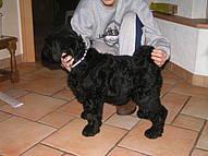 Click on the photo for the original