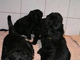 Click on the photo for the original