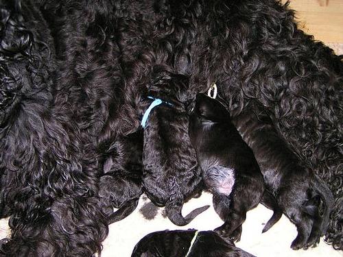 Click on the photo for the original