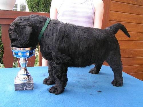 Click on the photo for the original