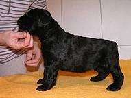 Click on the photo for the original