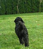 Click on the photo for the original