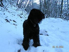 Click on the photo for the original