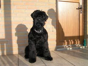 Click on the photo for the original